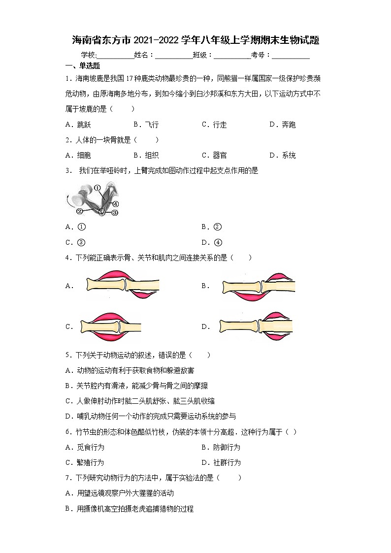 海南省东方市2021-2022学年八年级上学期期末生物试题（word版 含答案）第1页