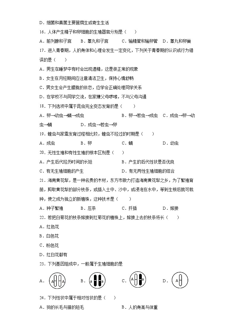 海南省东方市2021-2022学年八年级上学期期末生物试题（word版 含答案）第3页