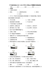 广东省东莞市2021-2022学年七年级上学期期中生物试题（word版 含答案）