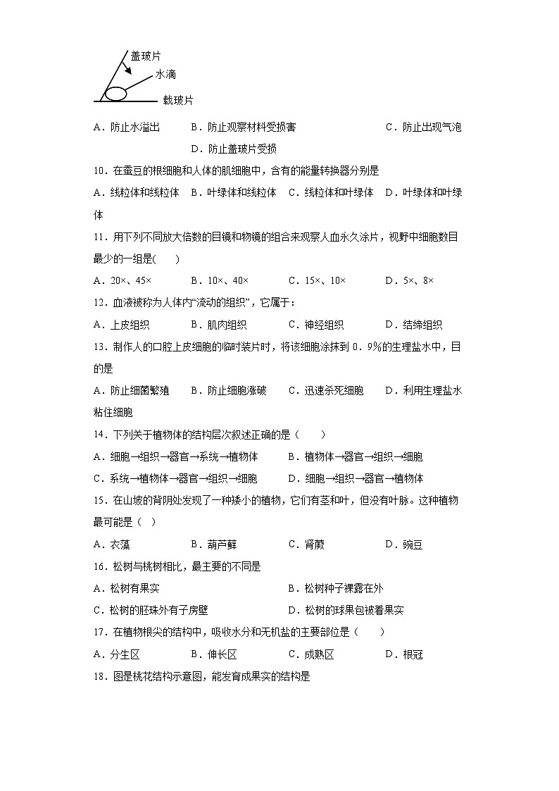 新疆吐鲁番市2021-2022学年七年级上学期期末生物试题（word版 含答案）02