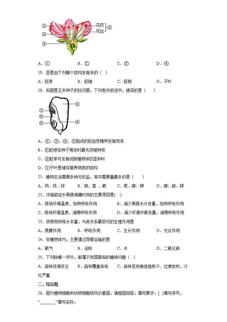 新疆吐鲁番市2021-2022学年七年级上学期期末生物试题（word版 含答案）03