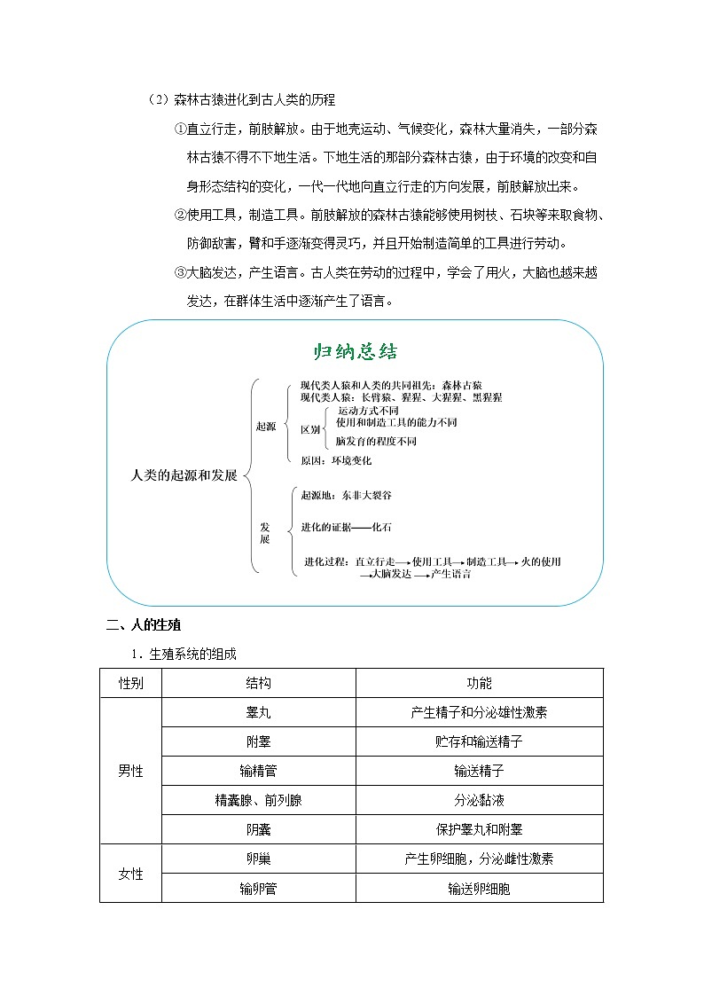 考点18 人的由来（解析版）-2022年生物中考一轮过关讲练（人教版）第2页