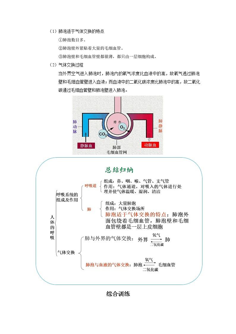考点21 人体的呼吸（解析版）-2022年生物中考一轮过关讲练（人教版）第2页