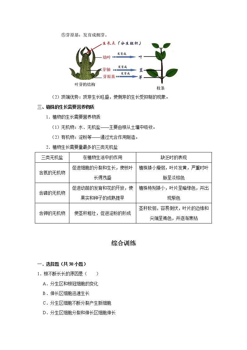 考点13 植株的生长（解析版）-2022年生物中考一轮过关讲练（人教版）第2页