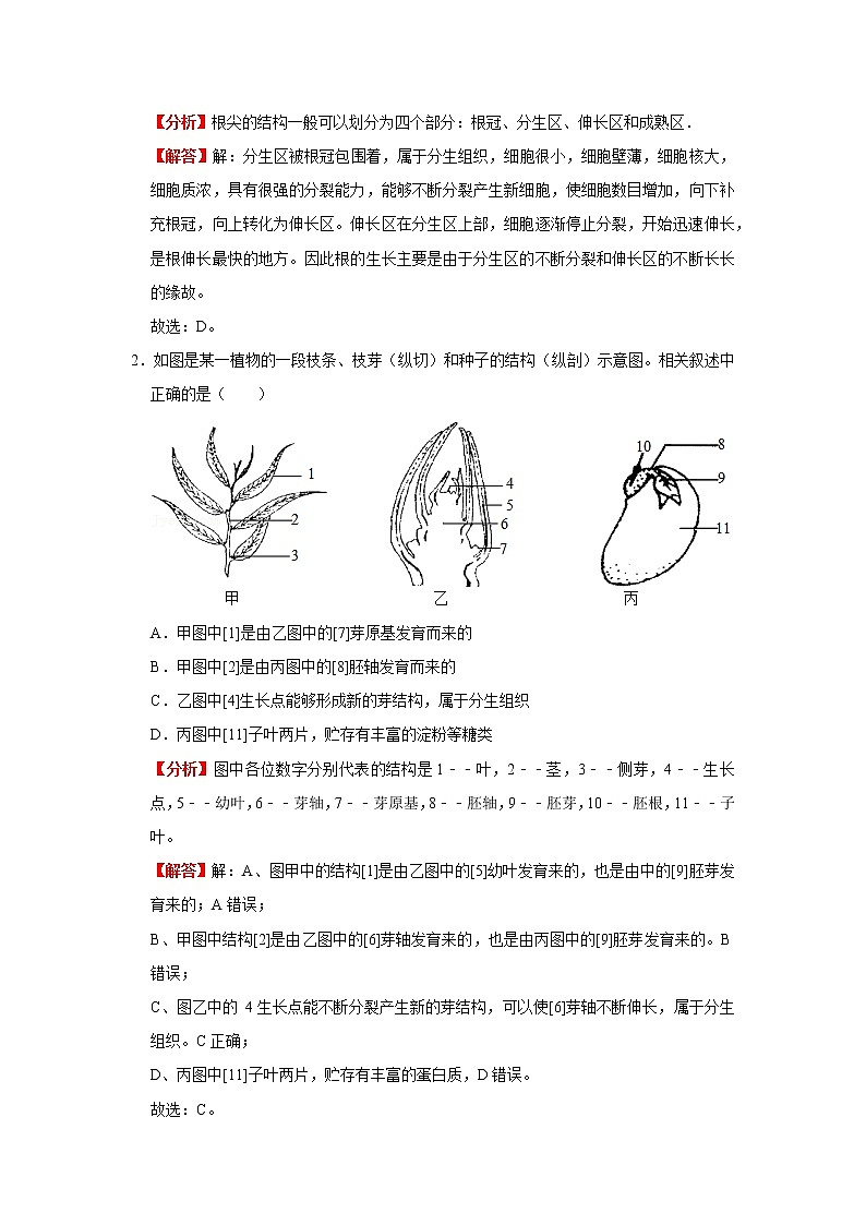考点13 植株的生长（解析版）-2022年生物中考一轮过关讲练（人教版）第3页