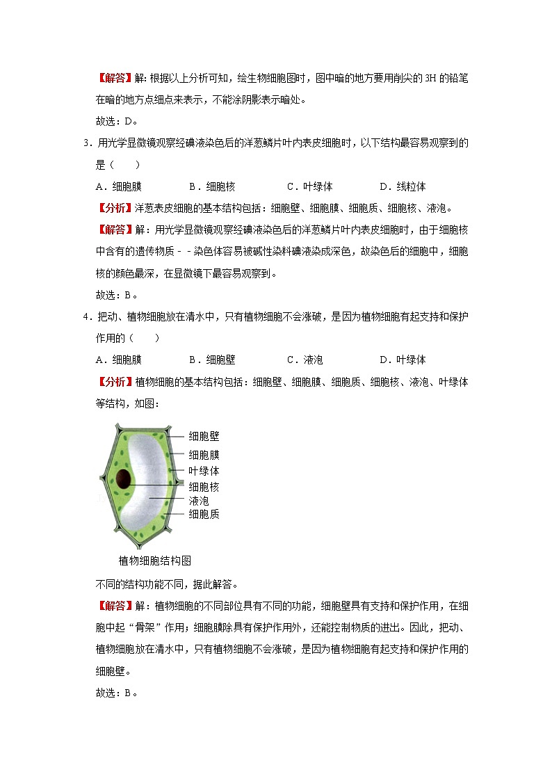 考点05 动植物细胞的结构（解析版）-2022年生物中考一轮过关讲练（人教版）03