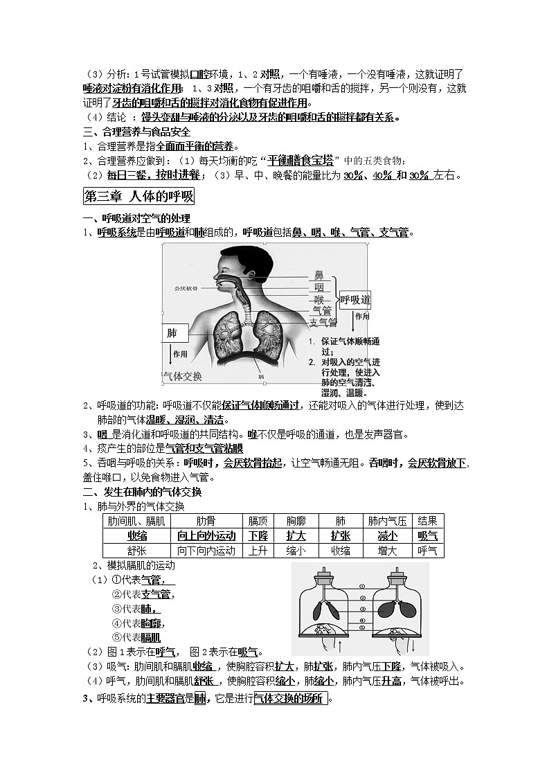 2021年人教版七年级下册生物复习提纲（总结）第3页