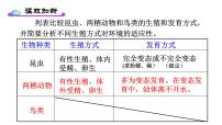 初中生物人教版 (新课标)八年级下册第四节 鸟的生殖和发育教课内容ppt课件