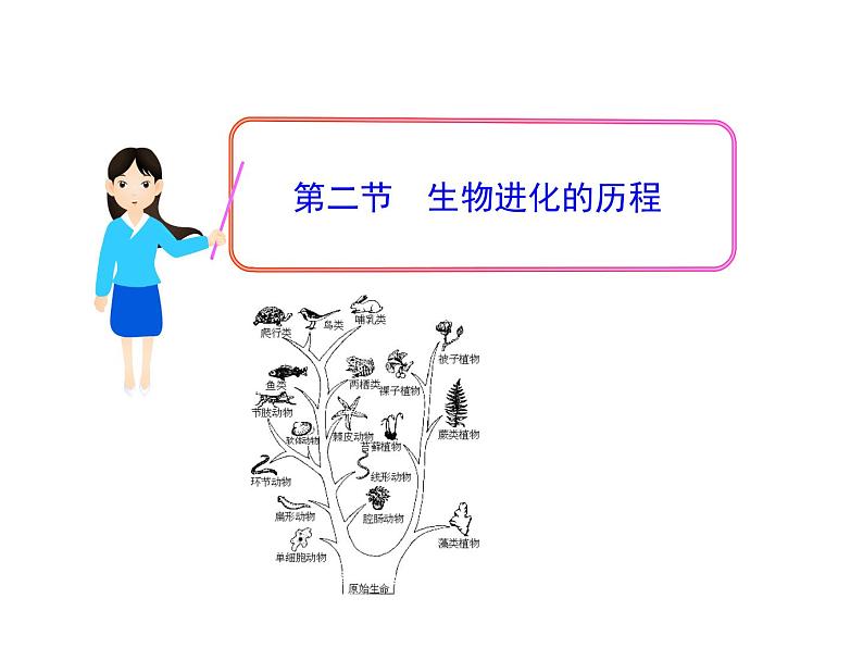 第二节 生物进化的历程 　课件01