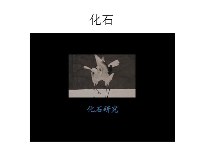 第二节 生物进化的历程 　课件06