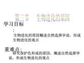 第三节 生物进化的原因　课件