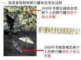 第三节 生物进化的原因　课件