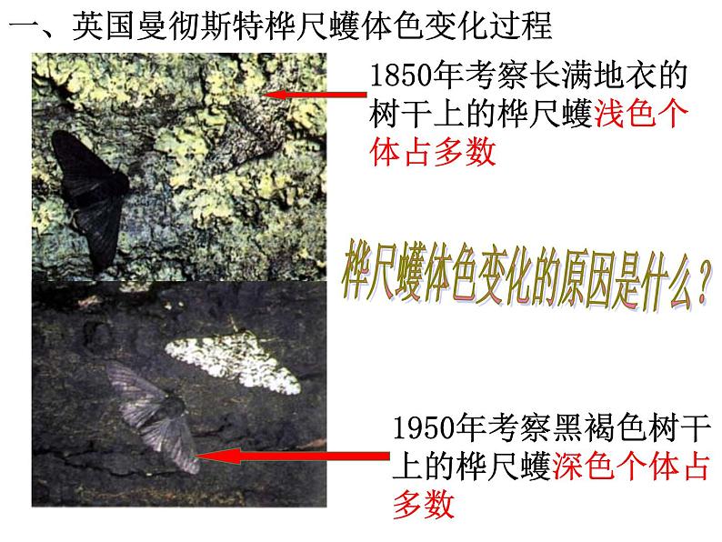 第三节 生物进化的原因　课件04