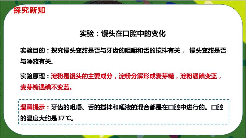 2.2 消化和吸收(课件PPT)-2021-2022学年七年级下册初一生物(人教版)07