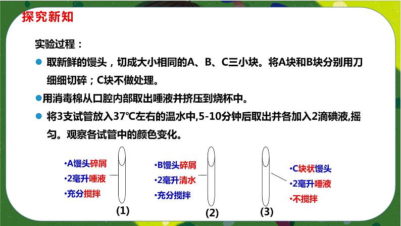 2.2 消化和吸收(课件PPT)-2021-2022学年七年级下册初一生物(人教版)08