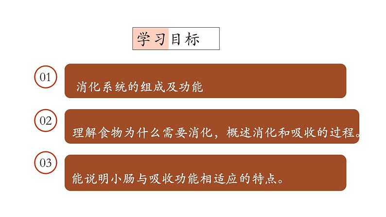 食物的消化和营养物质的吸收课件PPT第3页