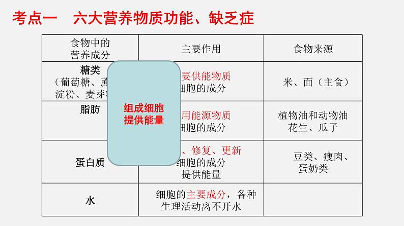 人教版初中生物复习 专题10 人体的营养 课件04