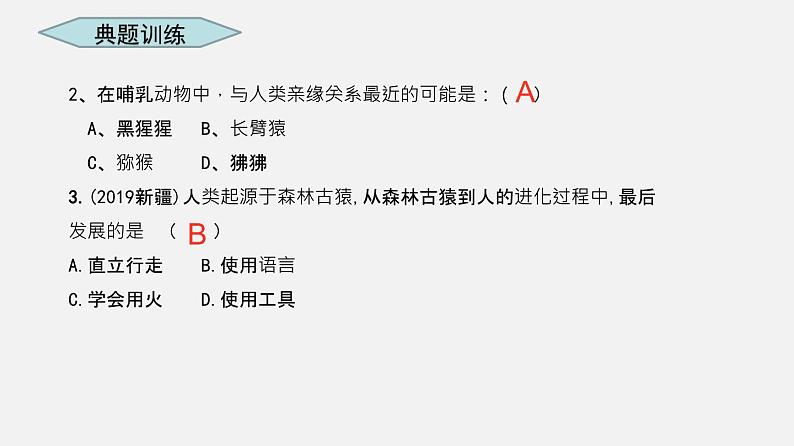 人教版初中生物复习 专题9 人的由来 课件第7页