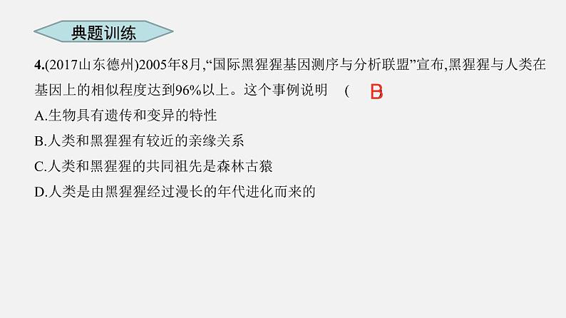 人教版初中生物复习 专题9 人的由来 课件第8页