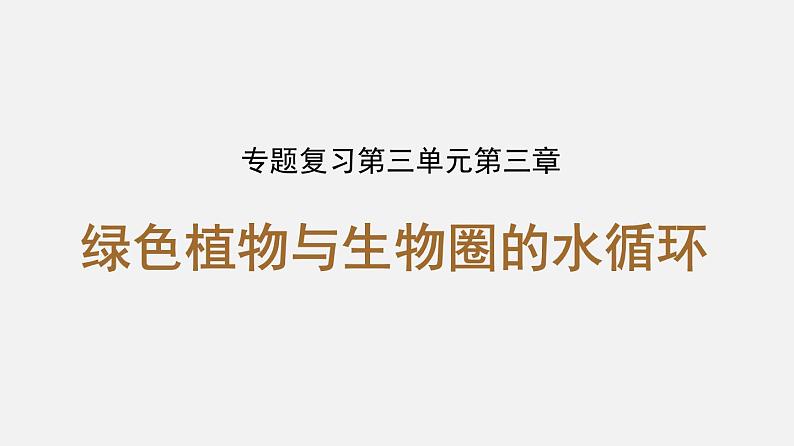 人教版初中生物复习 专题6 绿色植物与生物圈的水循环 课件第1页