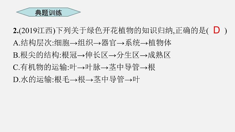 人教版初中生物复习 专题6 绿色植物与生物圈的水循环 课件第8页