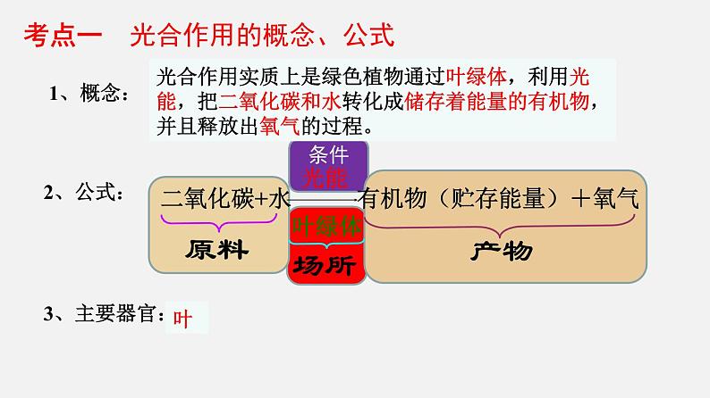 人教版初中生物复习 专题7 绿色植物的光合作用 课件第3页