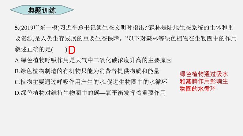 人教版初中生物复习 专题7 绿色植物的光合作用 课件第8页