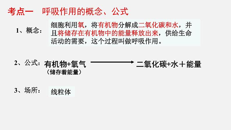 人教版初中生物复习 专题8 绿色植物的呼吸作用 课件第3页