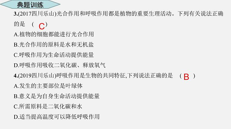 人教版初中生物复习 专题8 绿色植物的呼吸作用 课件第6页