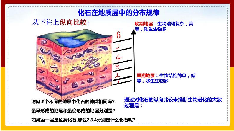 第5单元 生命的演化 第1章 生命的起源和进化 第2节 生物进化的证据课件PPT06