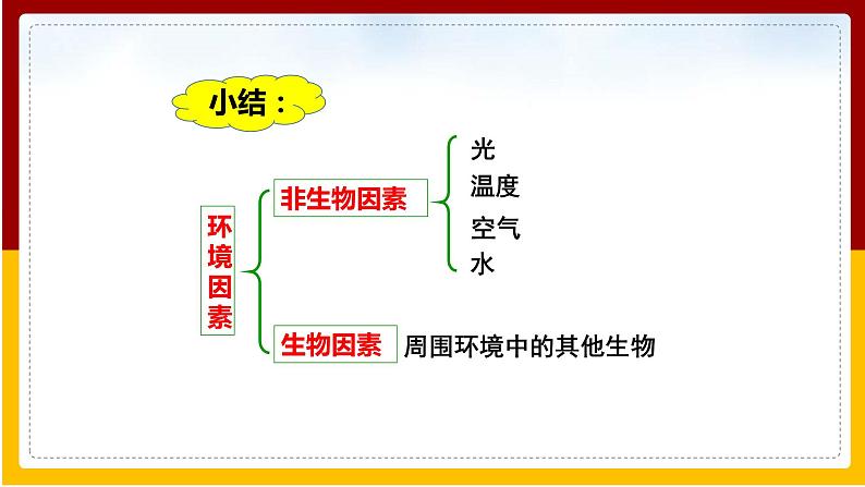 第6单元 生物与环境 第1章 生物与环境的相互作用 第1节 环境对生物的作用课件PPT04