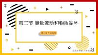 济南版八年级下册第六单元  生物与环境第二章 生态系统第三节 能量流动和物质循环课堂教学ppt课件