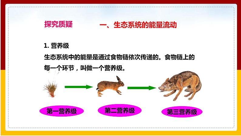 第6单元 生物与环境 第2章 生态系统 第3节 能量流动和物质循环课件PPT04