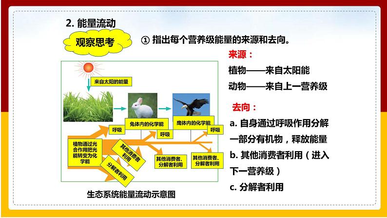 第6单元 生物与环境 第2章 生态系统 第3节 能量流动和物质循环课件PPT05