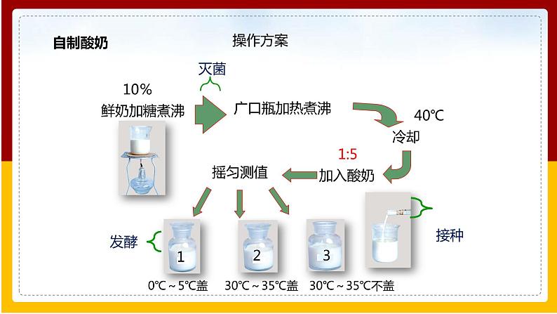 第7单元 生物技术 第1章 生活中的生物技术 第1节 发酵技术课件PPT第8页