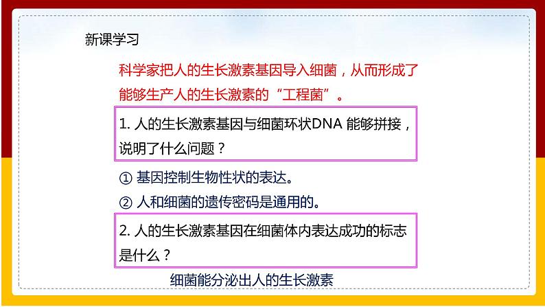 第7单元 生物技术 第2章 现代生物技术 第1节 基因工程课件PPT第7页