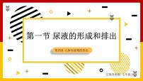 2021学年第三单元第四章 人体内废物的排出第一节  尿液的形成和排出多媒体教学ppt课件