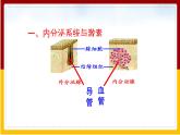 第5章 人体生命活动的调节 第1节 人体的激素调节课件PPT