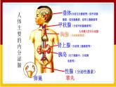 第5章 人体生命活动的调节 第1节 人体的激素调节课件PPT