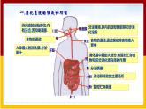 第1章 人的生活需要营养 第2节 消化和吸收课件PPT