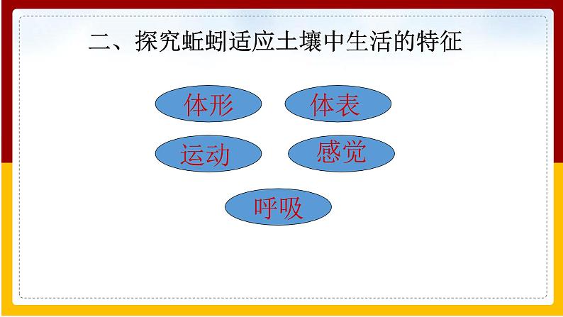 第13章 土壤里的生物 第1节 土壤里的小动物课件PPT第5页