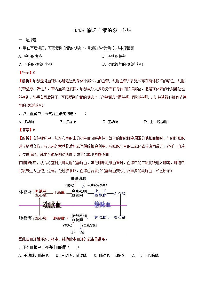 4.4.3 输送血液的泵--心脏 同步练习2 初中生物人教版七年级下册（2022年）第1页
