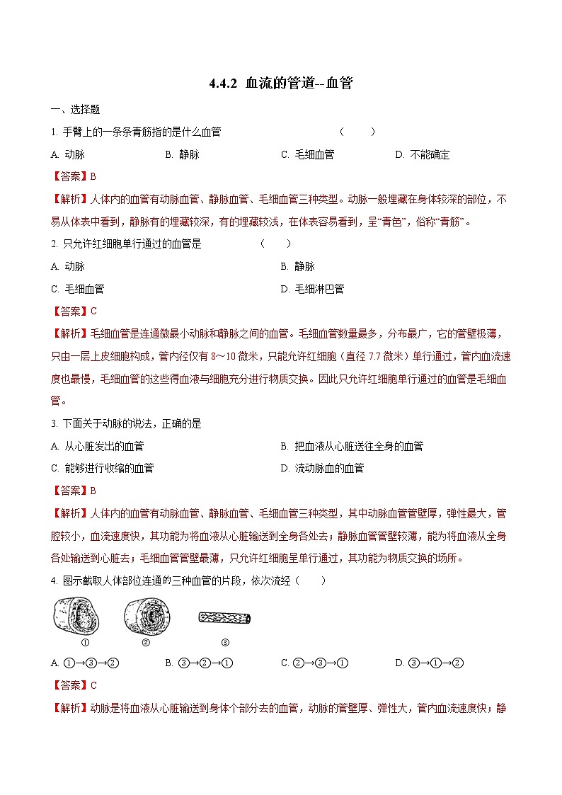 4.4.2 血流的管道--血管 同步练习1 初中生物人教版七年级下册（2022年）01