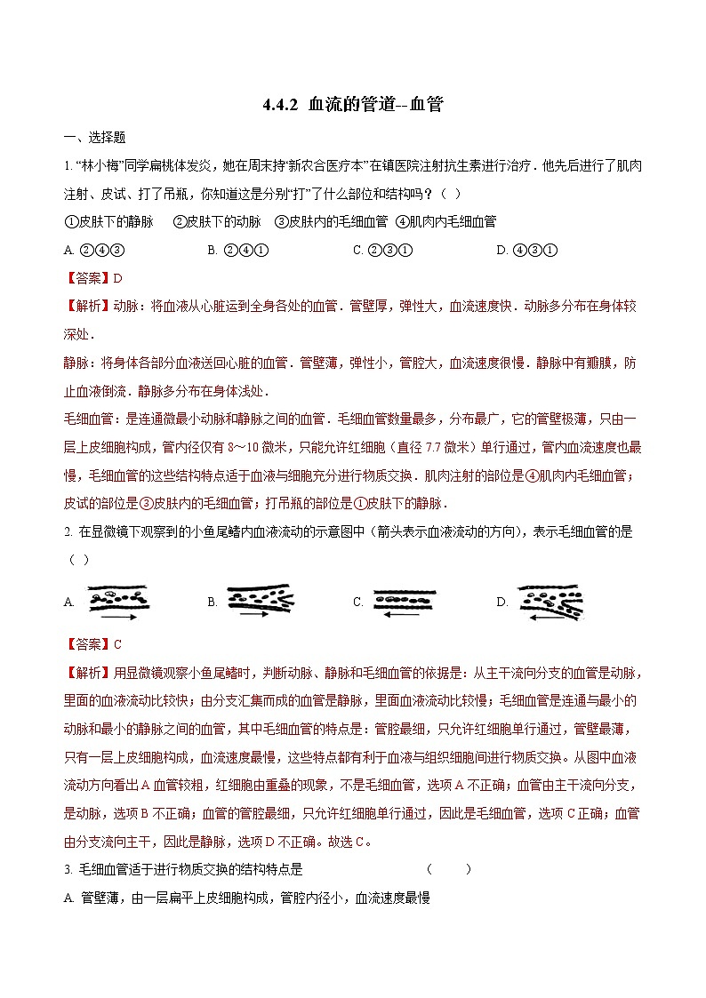 4.4.2 血流的管道--血管 同步练习2 初中生物人教版七年级下册（2022年）01