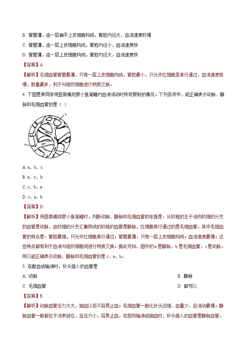 4.4.2 血流的管道--血管 同步练习2 初中生物人教版七年级下册（2022年）02