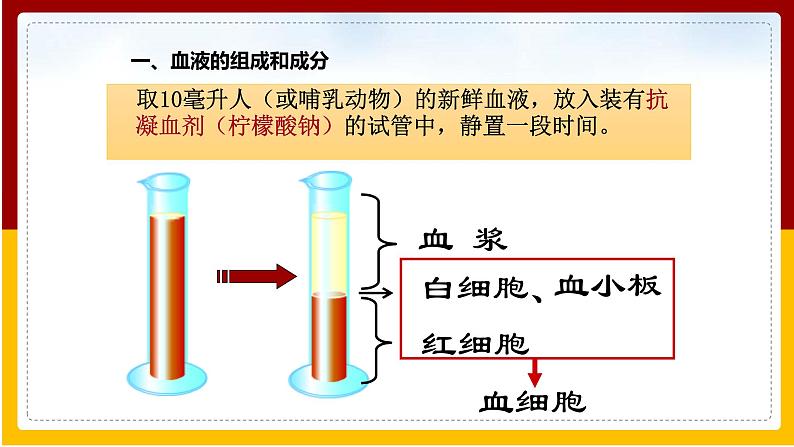 第10章 人体的物质运输和能量供给 第1节 血液和血型课件PPT05