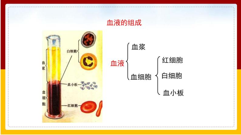 第10章 人体的物质运输和能量供给 第1节 血液和血型课件PPT07
