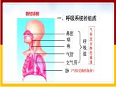 第10章 人体的物质运输和能量供给 第3节 人体和外界环境的气体交换课件PPT