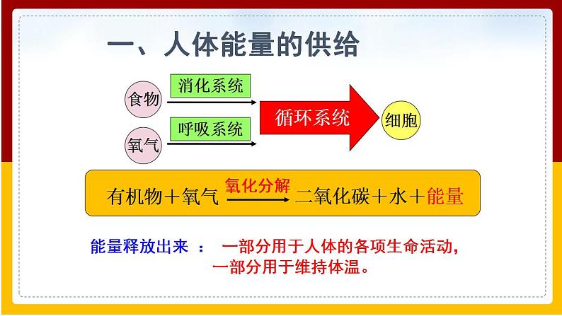 第10章 人体的物质运输和能量供给 第5节 人体能量的供给课件PPT07