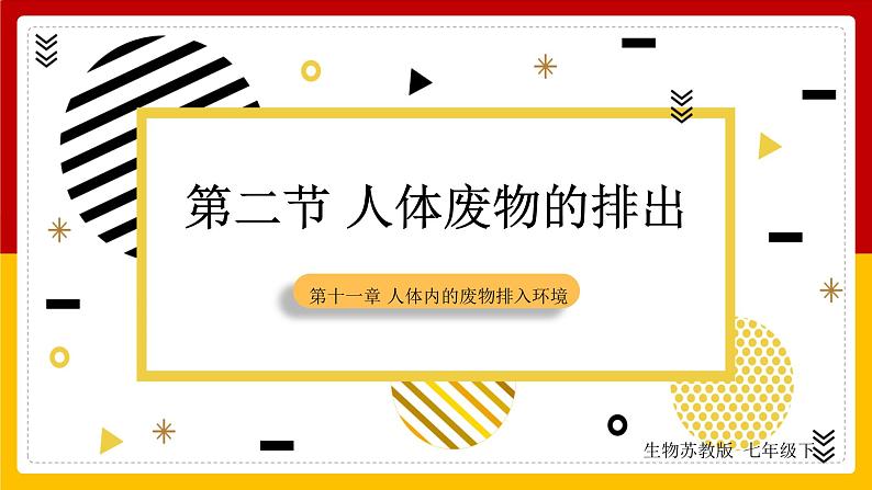 第11章 人体内的废物排入环境 第2节 人体废物的排出课件PPT01